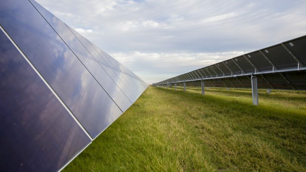 Elm Branch Solar Farm In Texas Lightsource Bp USA