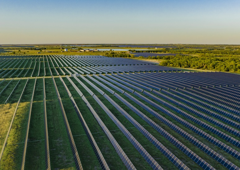 Elm Branch Solar Farm In Texas 