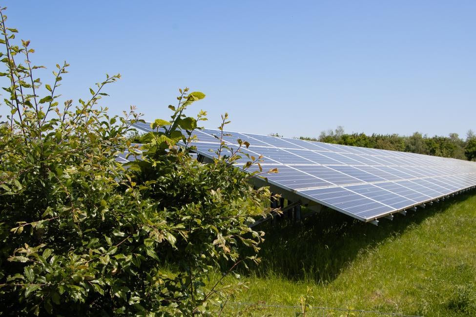 Solar panels at the Lightsource bp Bryn Henllys Open Cast Mine site in Wales, part of their UK Projects portfolio, installed on green land with shrubs in the foreground under a clear blue sky.