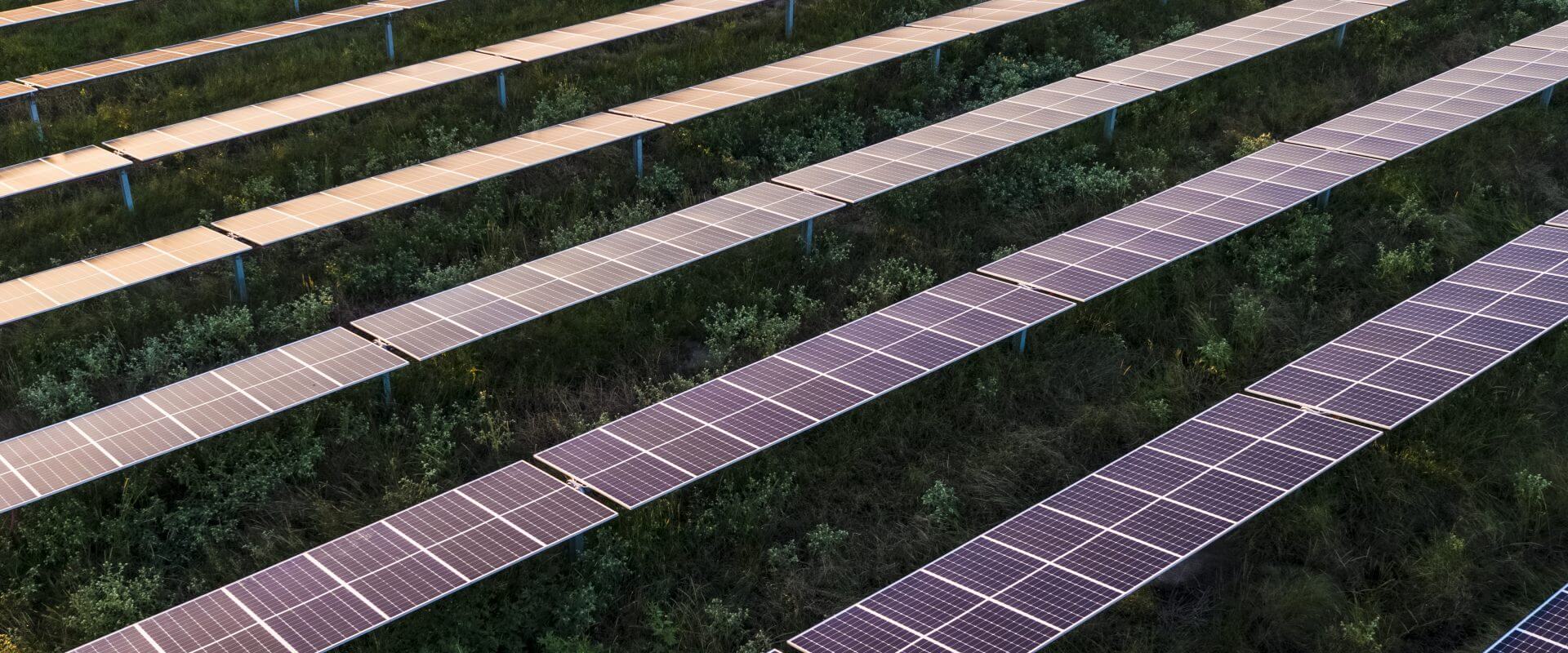 Aerial shot of solar panels in field