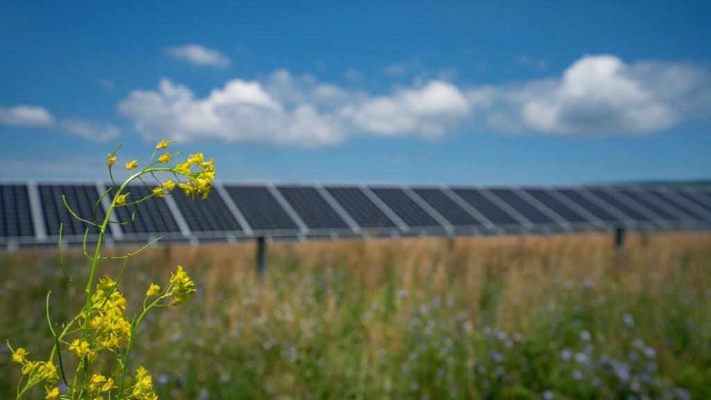 Penn State Solar Project In Pennsylvania, USA | Lightsource Bp