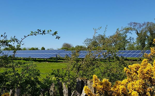 Rows of solar panels at the Lightsource bp Moira Road solar project in the UK, part of their UK Projects portfolio, framed by green grass, yellow gorse bushes, and trees under a clear blue sky.