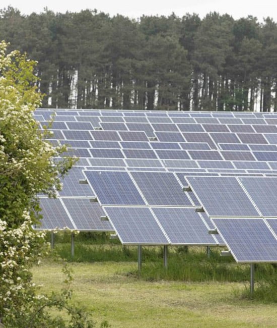 Rows of solar panels at a Lightsource bp solar project in the UK, part of their UK Projects portfolio, installed across green grass with a dense forest backdrop.