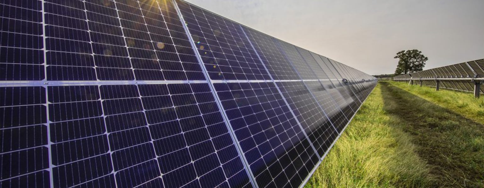 Solar panels in farm