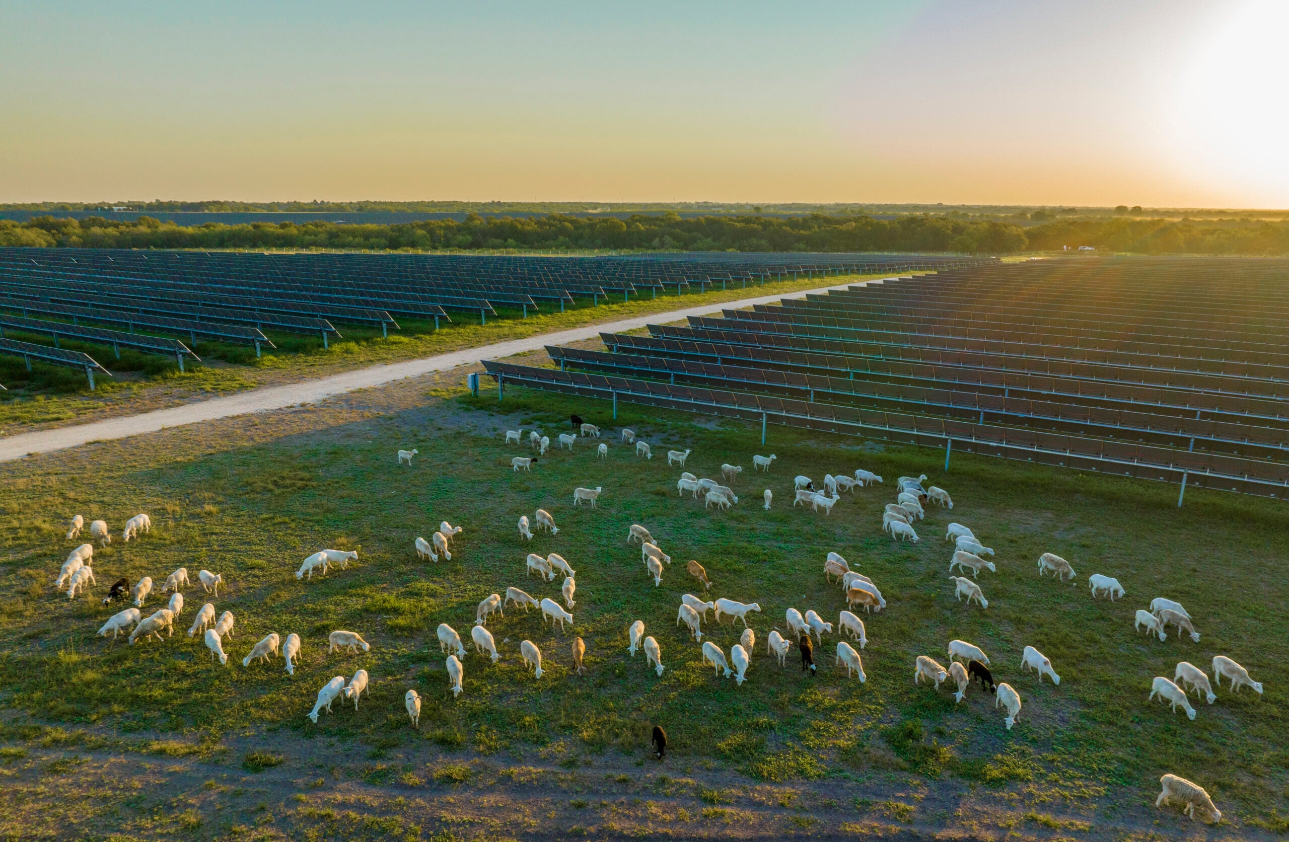 Aerial Elm Branch Solar