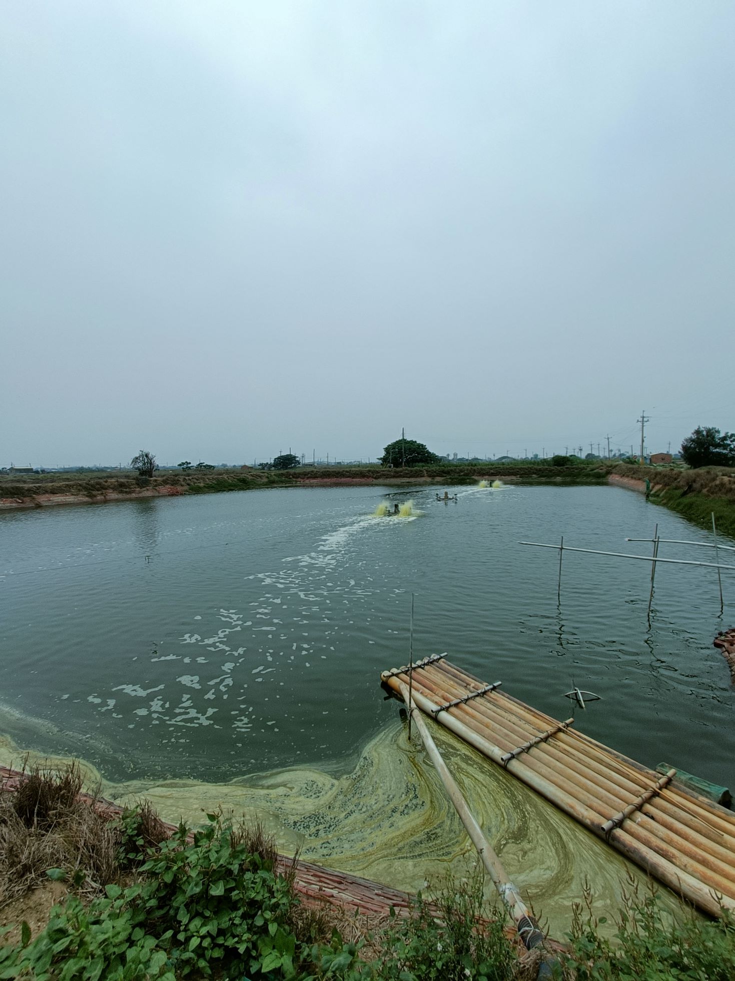Aquaculture pond with aerators, illustrating the fish farming environment used for aquavoltaics or agrivoltaics systems.