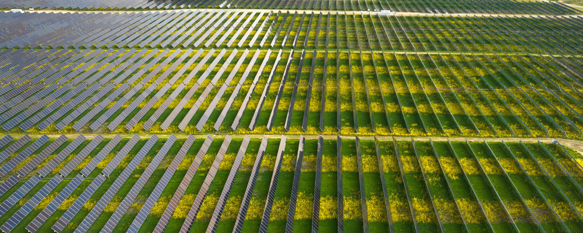 high shot of solar panels