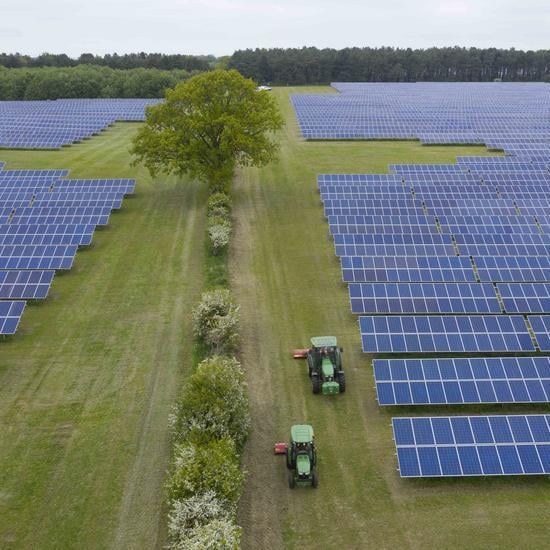 an aerial shot of a solar farm, two fields seperated by a hedge and large tree, two tractors driving alongside the panels
