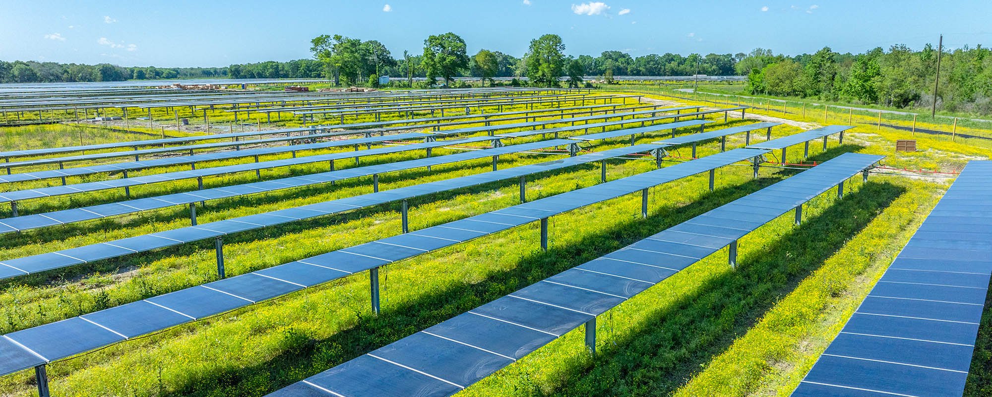 Aerial view of the Lightsource bp Prairie Ronde Solar project in Louisiana, part of their US Projects portfolio, rows of panels stretch across green fields dotted with yellow wildflowers under a clear blue sky.