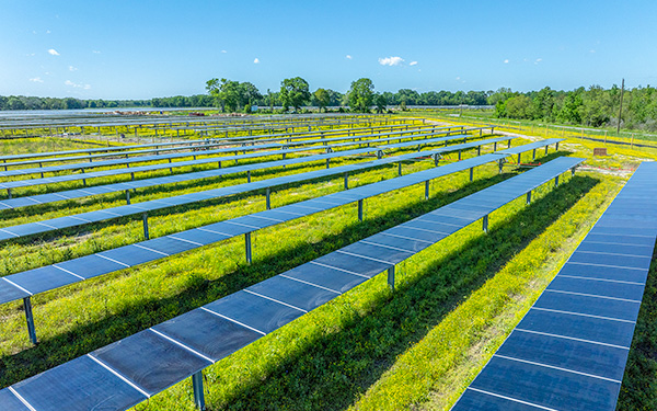 Rows of solar panels at the Lightsource bp Prairie Ronde Solar project in Louisiana, part of their US Projects portfolio, installed over lush green grass under a clear blue sky.