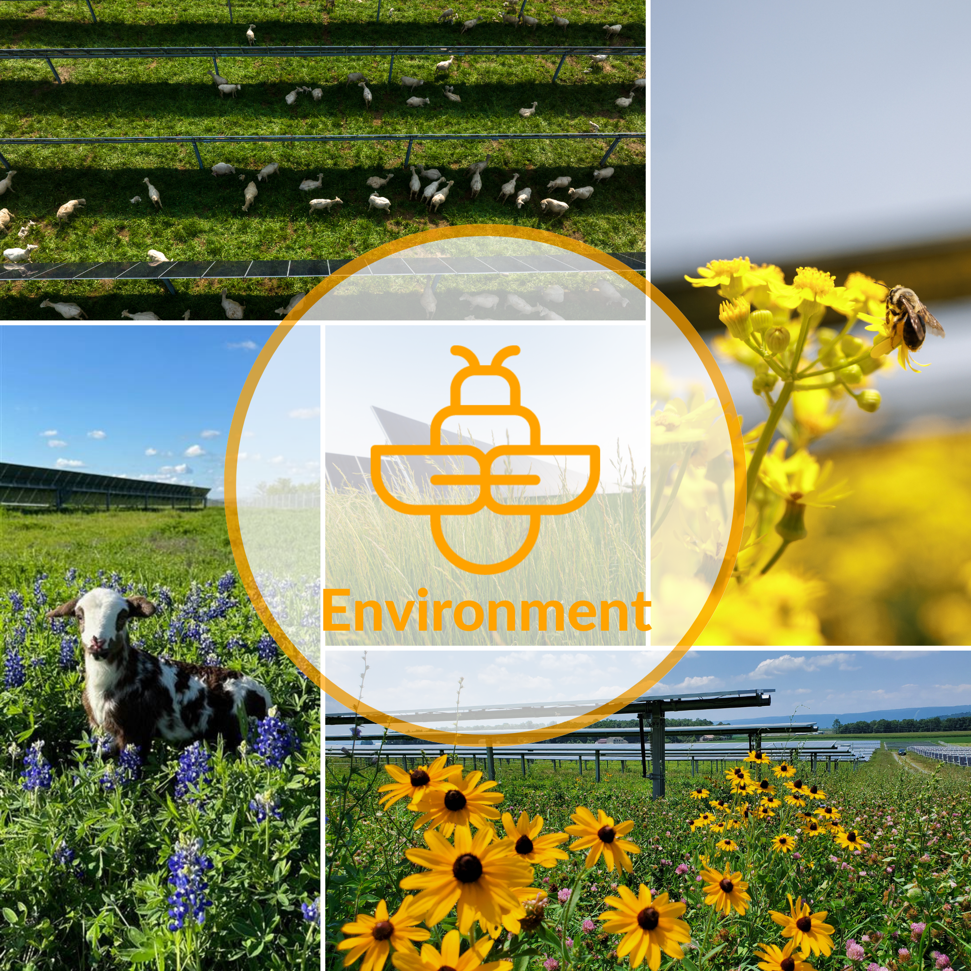 Environment Responsible Solar icon over collage of images