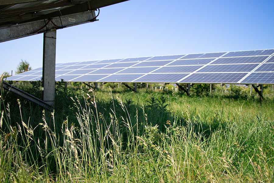 Close-up view beneath a solar panel at the Lightsource bp Manor Farm Eggington solar project in the UK, part of their UK Projects portfolio — with tall grasses growing underneath under a clear blue sky.