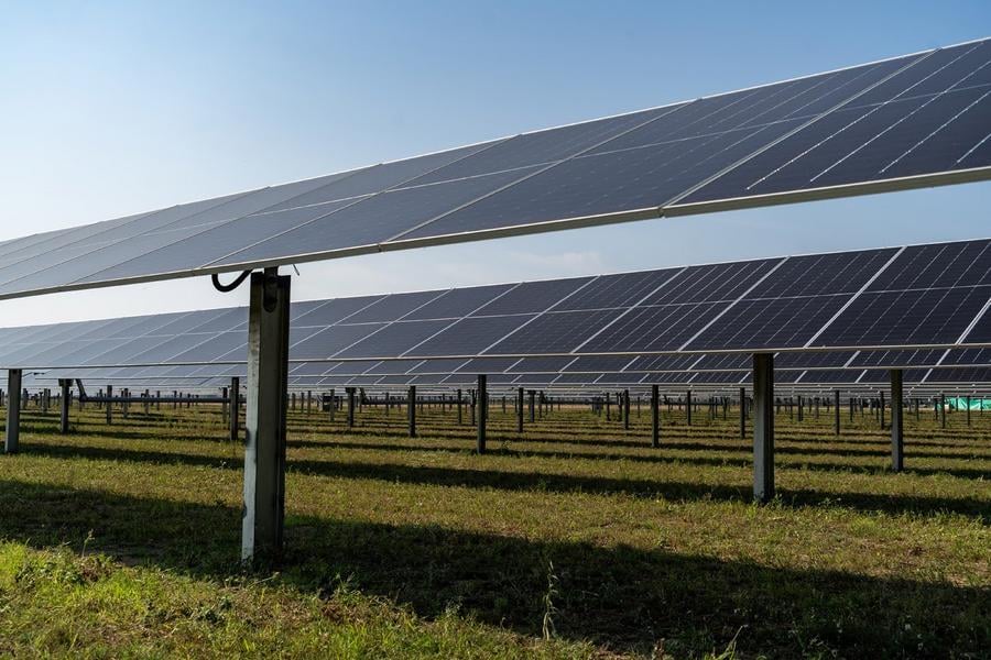 Ground-mounted solar array structure with dual-axis trackers or fixed-tilt panels over established ground cover for ground maintenance.