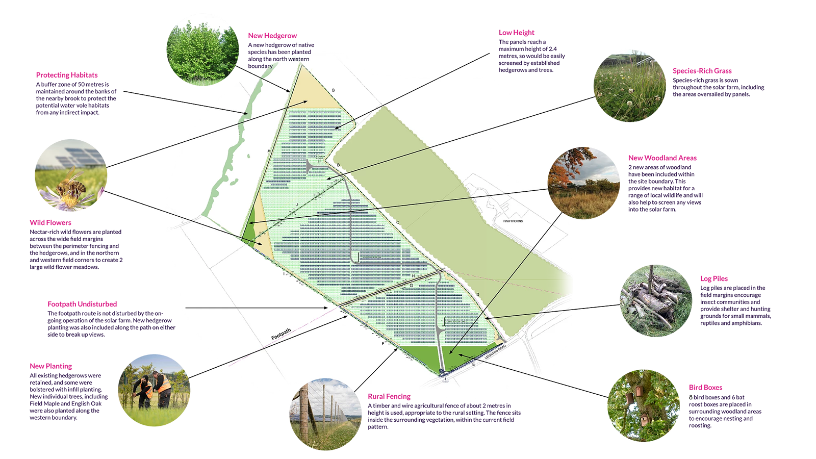Artistic, collage-style diagram of the Lightsource bp Manor Farm Eggington solar project in the UK. The central map shows panel arrays, footpaths, and land boundaries, surrounded by circular insets highlighting key environmental elements: bees on wildflowers, native tree planting, habitat logs, and workers maintaining the site. As a UK Projects initiative, it visually communicates how clean energy integrates with nature, agriculture, and community access.