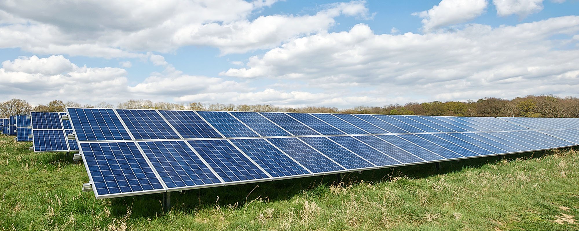 Rows of solar panels at a Lightsource bp solar project, installed across green grass under a partly cloudy blue sky with trees on the horizon.