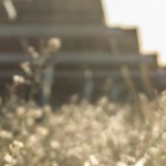 solar panels mid-banner