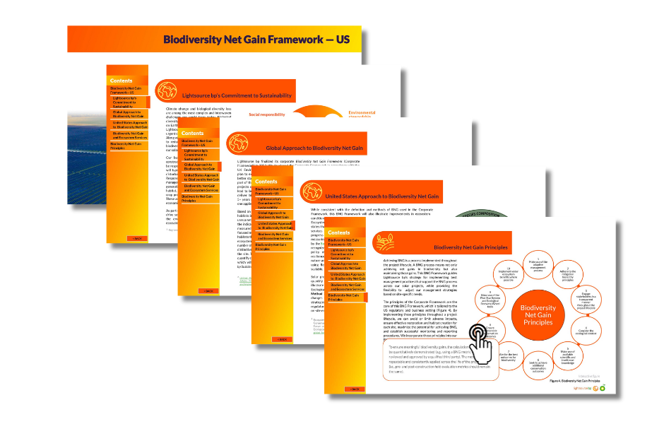 Preview images of biodiversity framework pdf