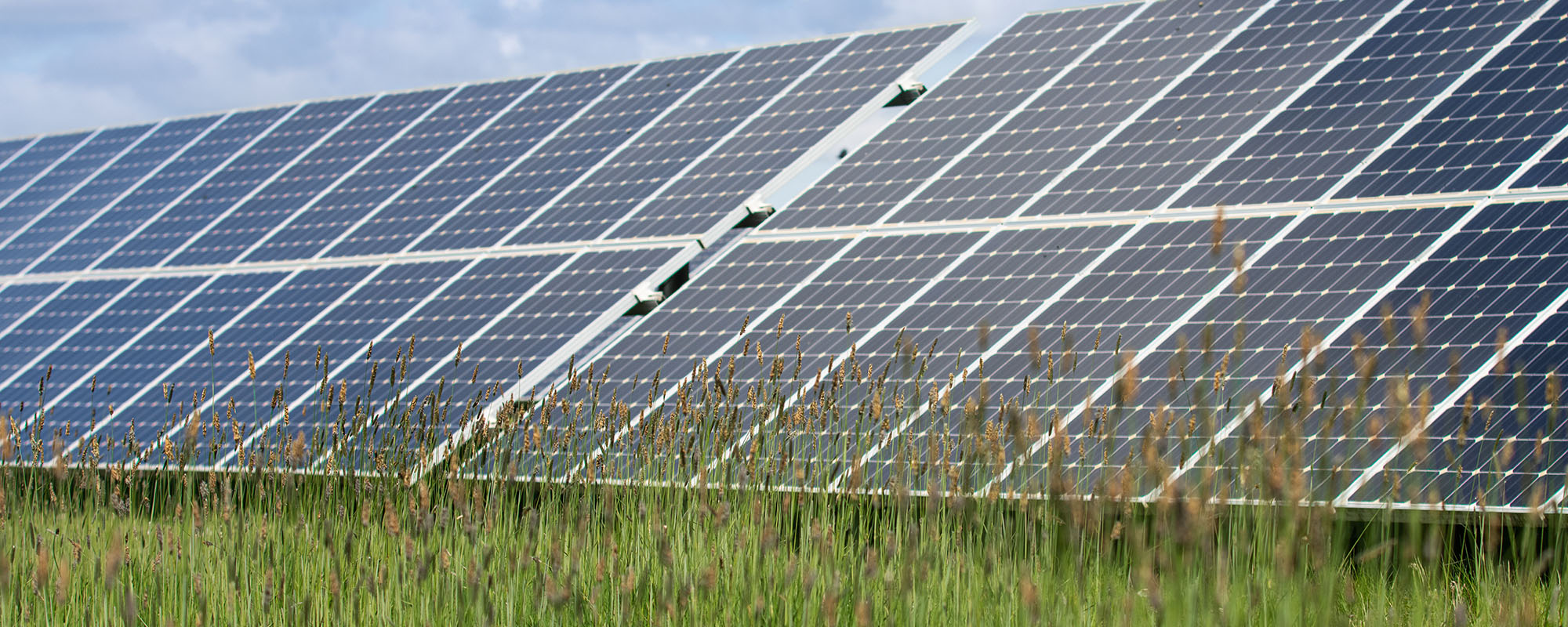Rows of solar panels at a Lightsource bp solar project, installed across green grass with tall wildflowers in the foreground under a bright blue sky.