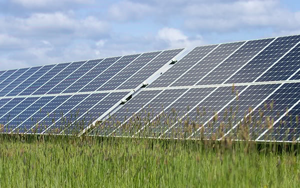Rows of solar panels at a Lightsource bp solar project, installed across green grass with tall wildflowers in the foreground under a partly cloudy sky.