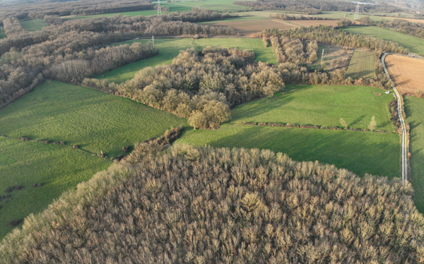 Patchwork of green fields and hedgerows in a flat, temperate farming region.