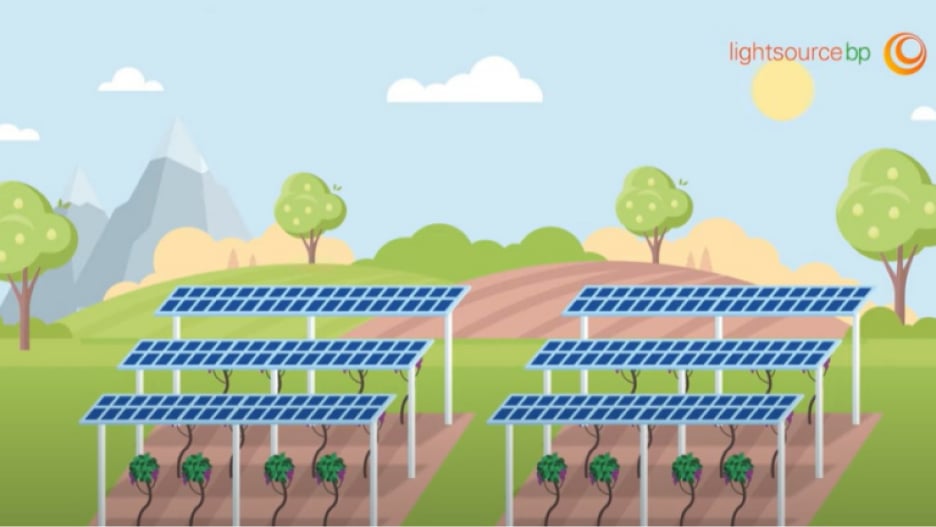 An illustration of a solar farm with solar panels mounted on structures above rows of crops