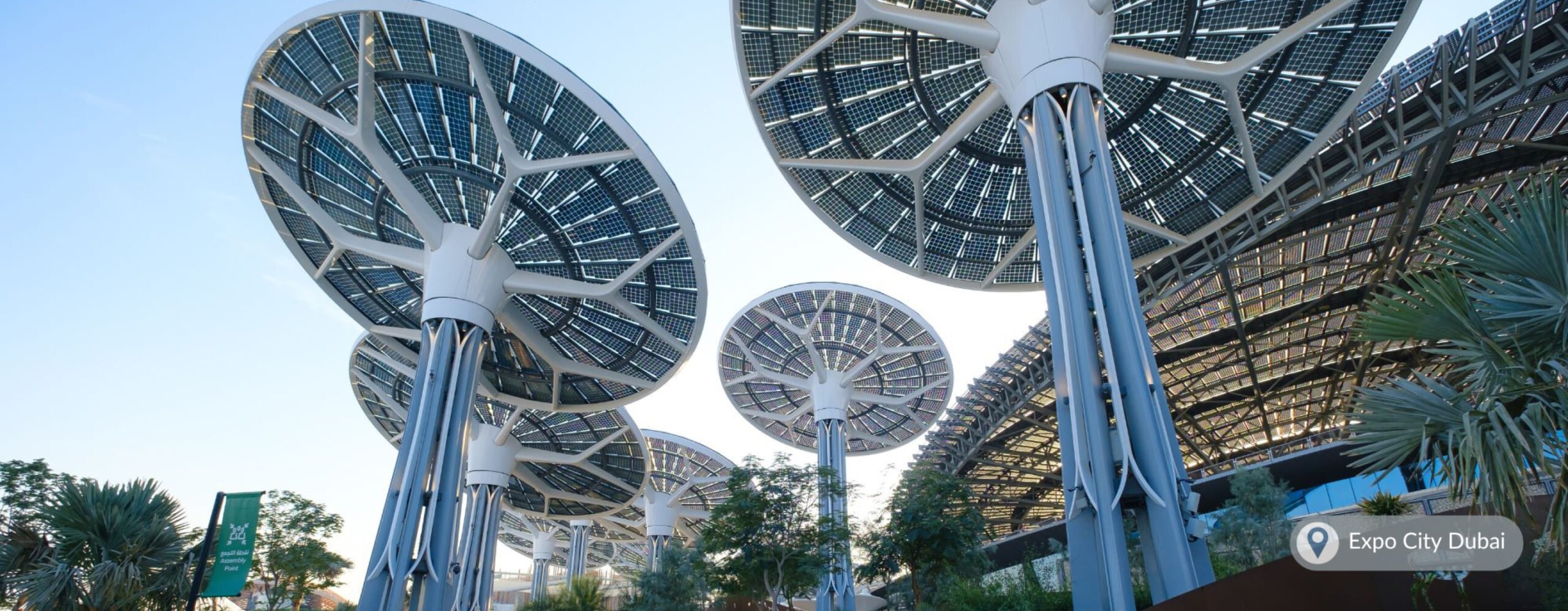 Several large, circular solar panels on tall structures in Expo City Dubai, resembling a field of giant mushrooms