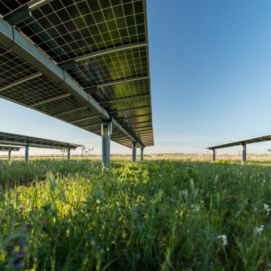 Low-angle view of a solar farm with rows of solar panels, showcasing the clean energy potential of solar power