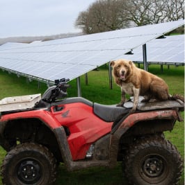 A photo of a dog sitting on an ATV in front of a solar farm, highlighting the potential for recreational activities and community engagement within renewable energy projects.