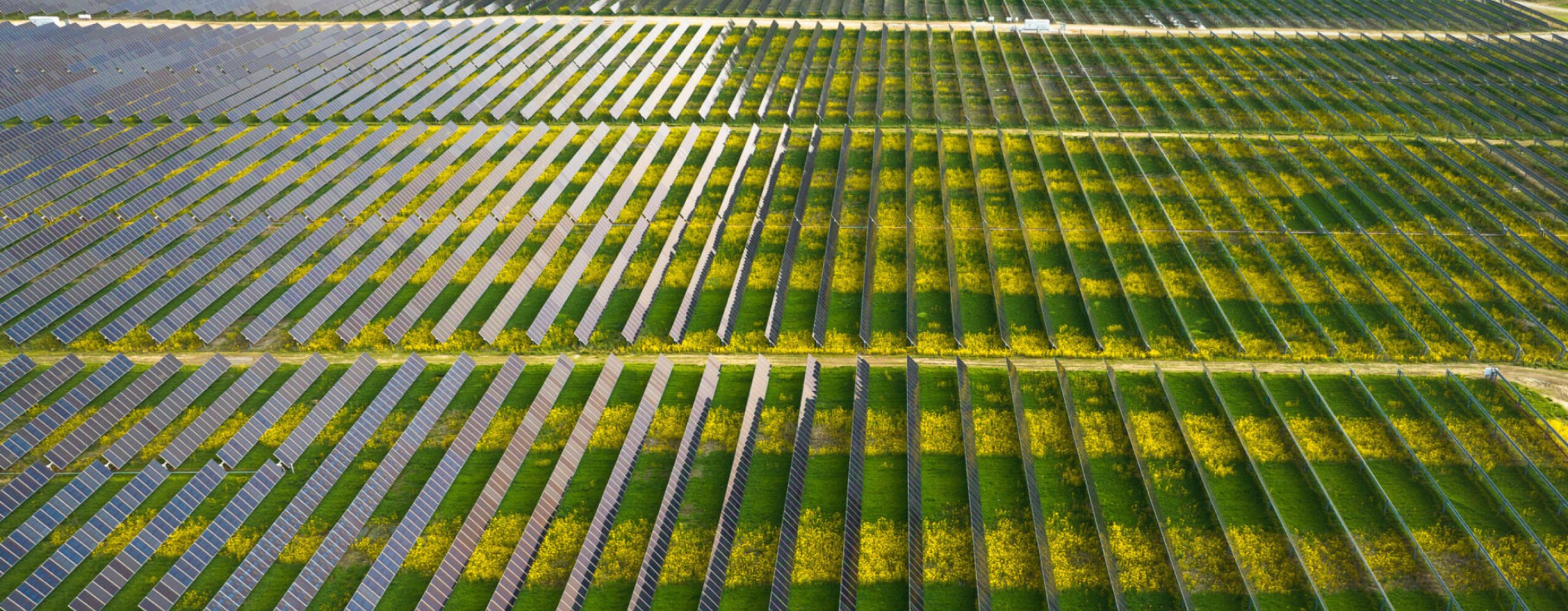 Sustainable landscape: Aerial view of a solar farm integrating renewable energy generation with natural beauty and pollinator habitat.