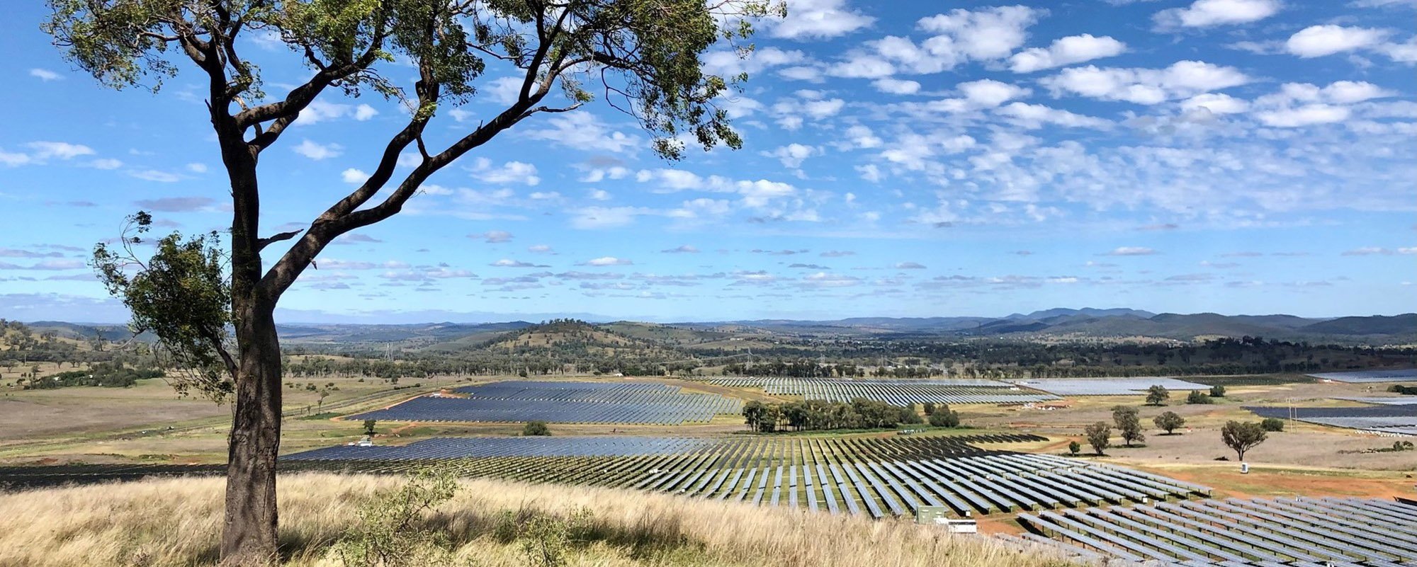 fields of solar panels in Australian countryside
