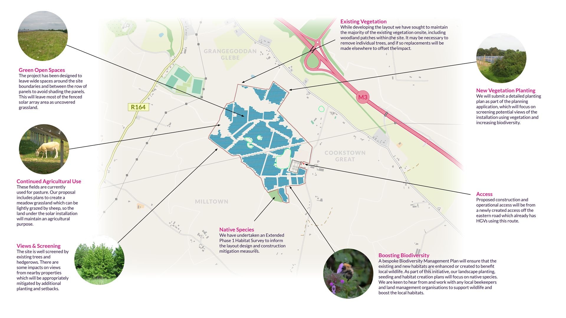 Solar farm site plan with agrivoltaics (grazing), M3 access, and ecological measures including a bespoke Biodiversity Management Plan for local wildlife and bees.