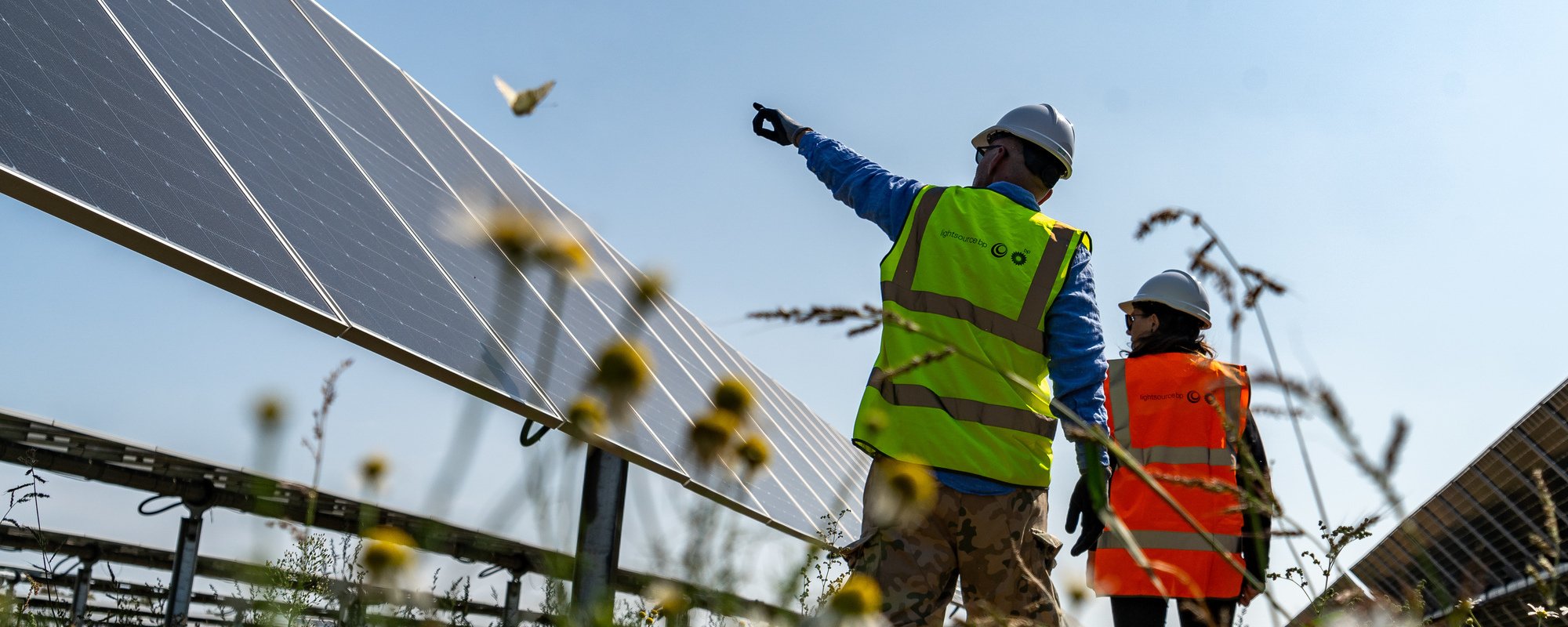 Operations and management team members looking out at solar panels. Flowers growing in the foreground