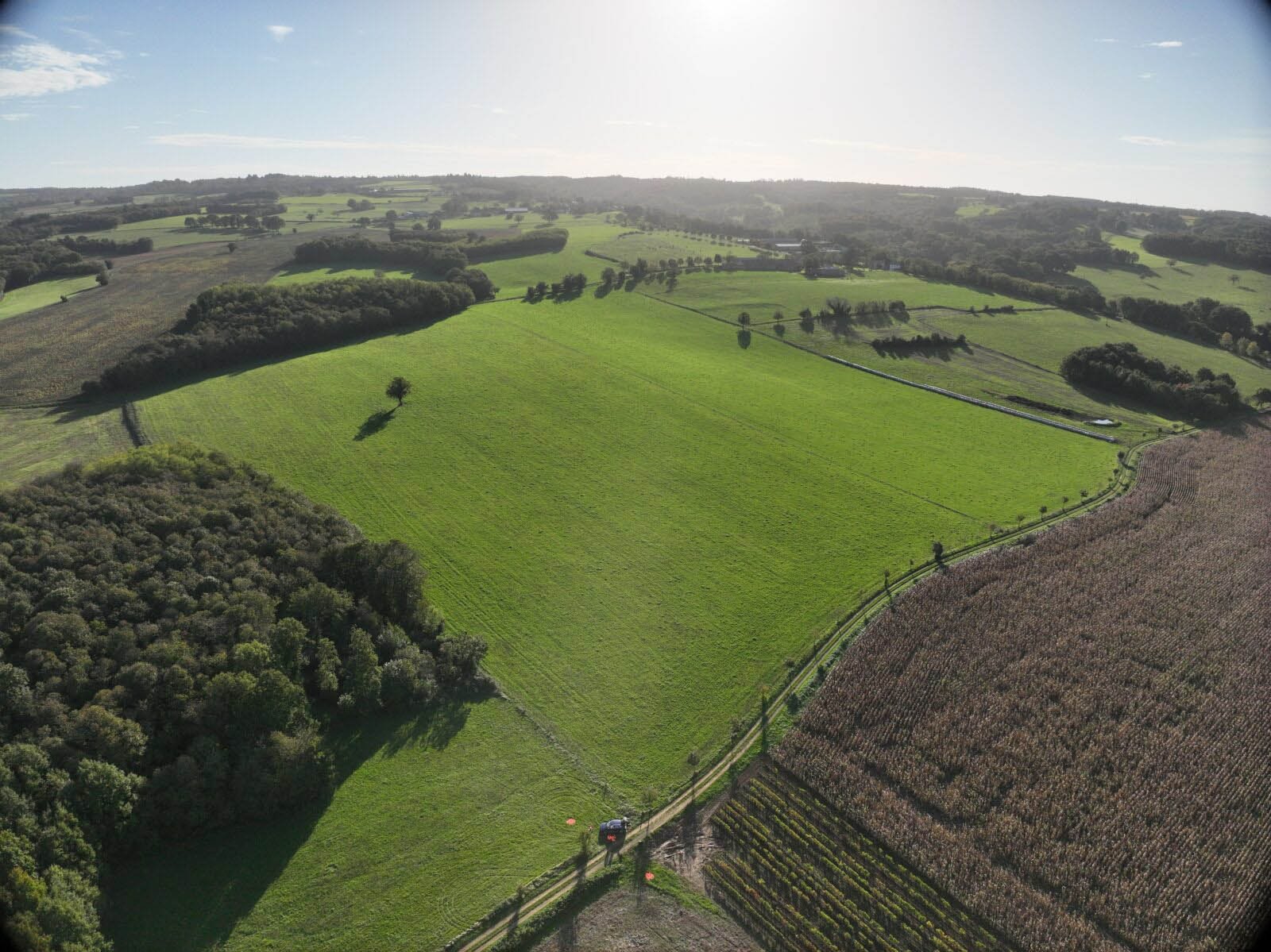 An aerial view of a patchwork of green fields and farmland