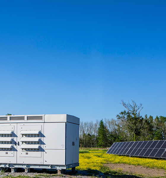 A solar inverter and solar panels in a field with yellow flowers, trees and expanisve blue sky in the background