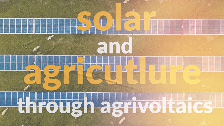 Exploring the integration of solar energy and agriculture through agrivoltaics