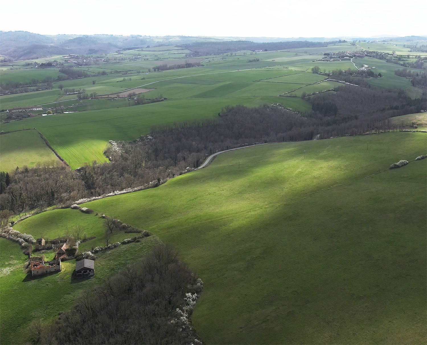 Patchwork of green fields and hedgerows in a flat, temperate farming region.