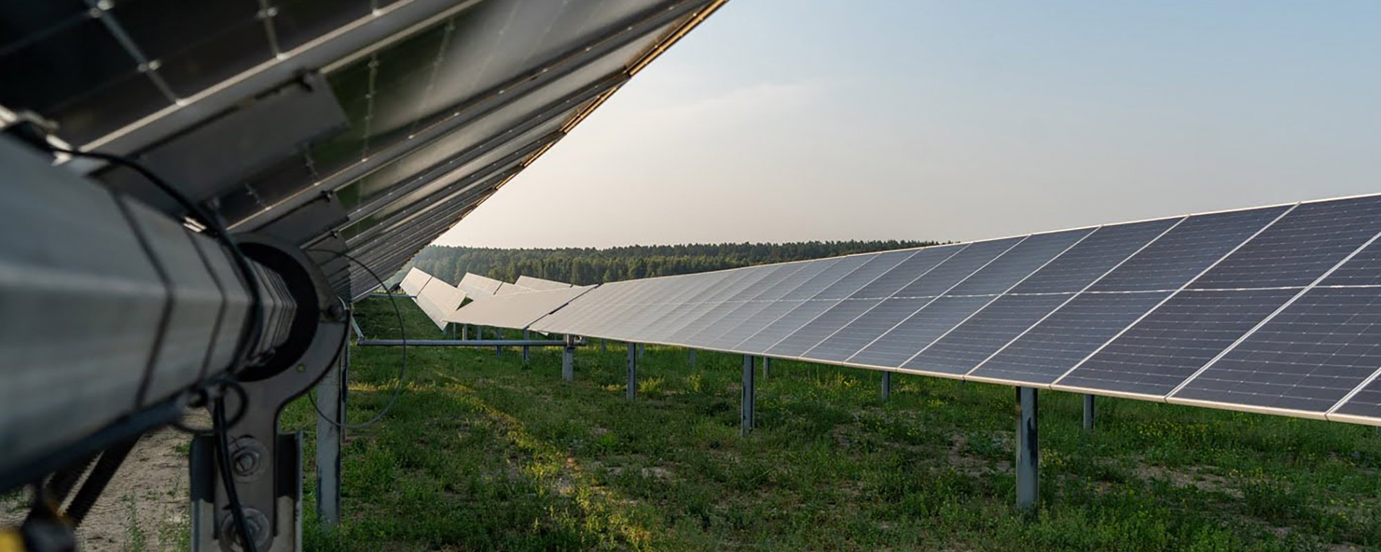 Rows of solar panels at a Lightsource bp solar project, installed across green grass with a tree line visible on the horizon under a clear sky.