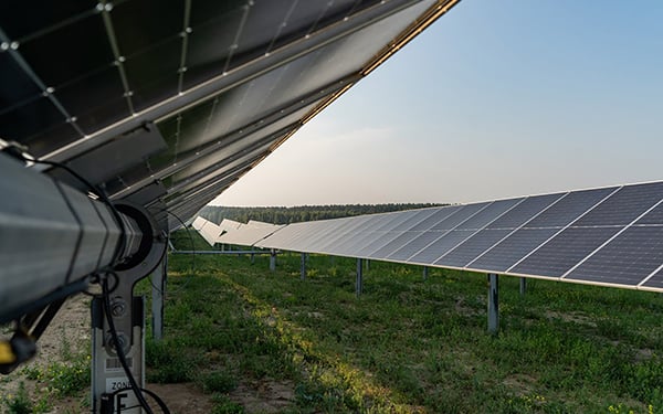Rows of solar panels at a Lightsource bp solar project, installed across green grass with wildflowers blooming in the foreground under a clear sky.