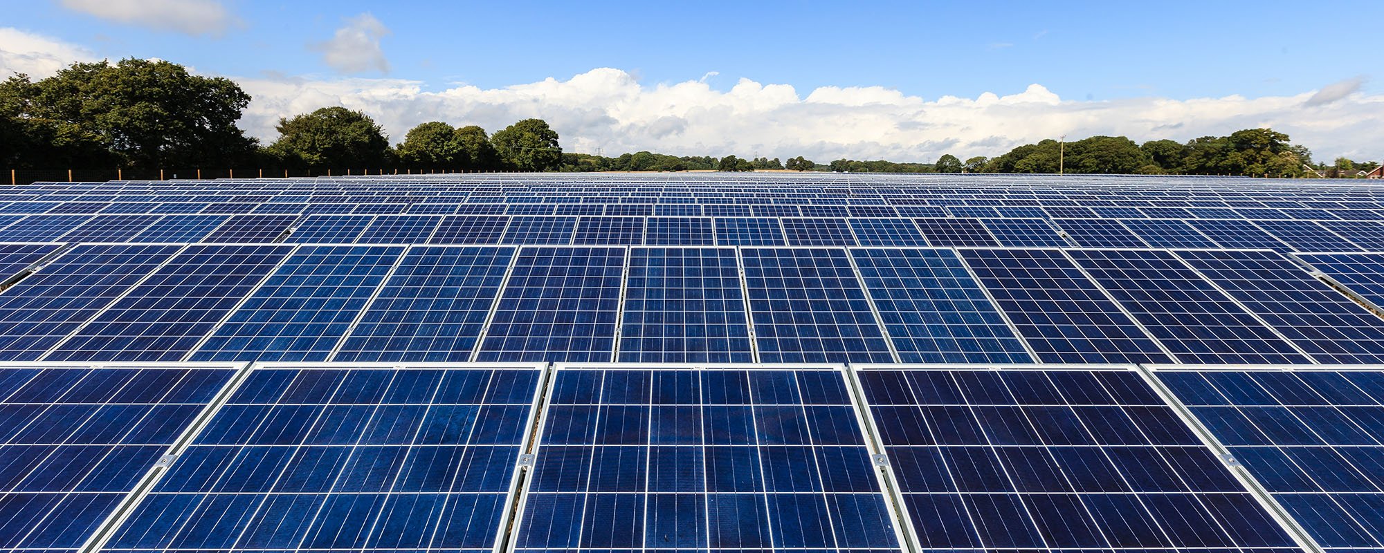 Vast field of solar panels at a Lightsource bp solar project, stretching under a blue sky with white clouds and bordered by trees.