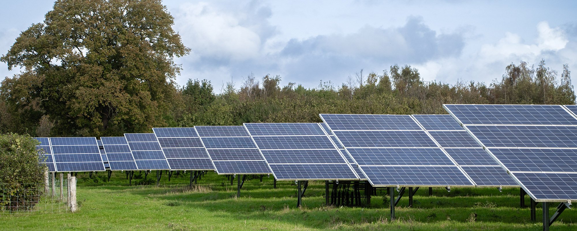 Rows of solar panels at a Lightsource bp solar project, installed across green grass with trees and a partly cloudy sky in the background.