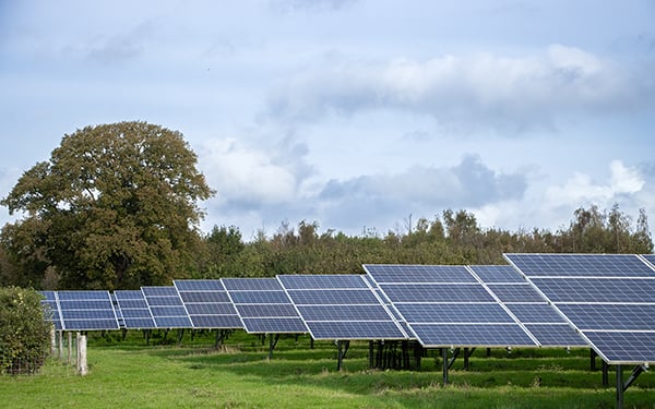 Rows of solar panels at a Lightsource bp solar project, installed across green grass with trees and a partly cloudy sky in the background.