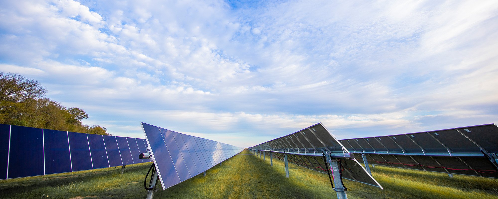 Wide-angle view of rows of solar panels at a Lightsource bp solar project, mounted on ground racks above lush green grass. The installation stretches toward a tree line under a dynamic, cloud-filled sky, symbolizing how large-scale renewable energy infrastructure can be thoughtfully integrated into rural landscapes.