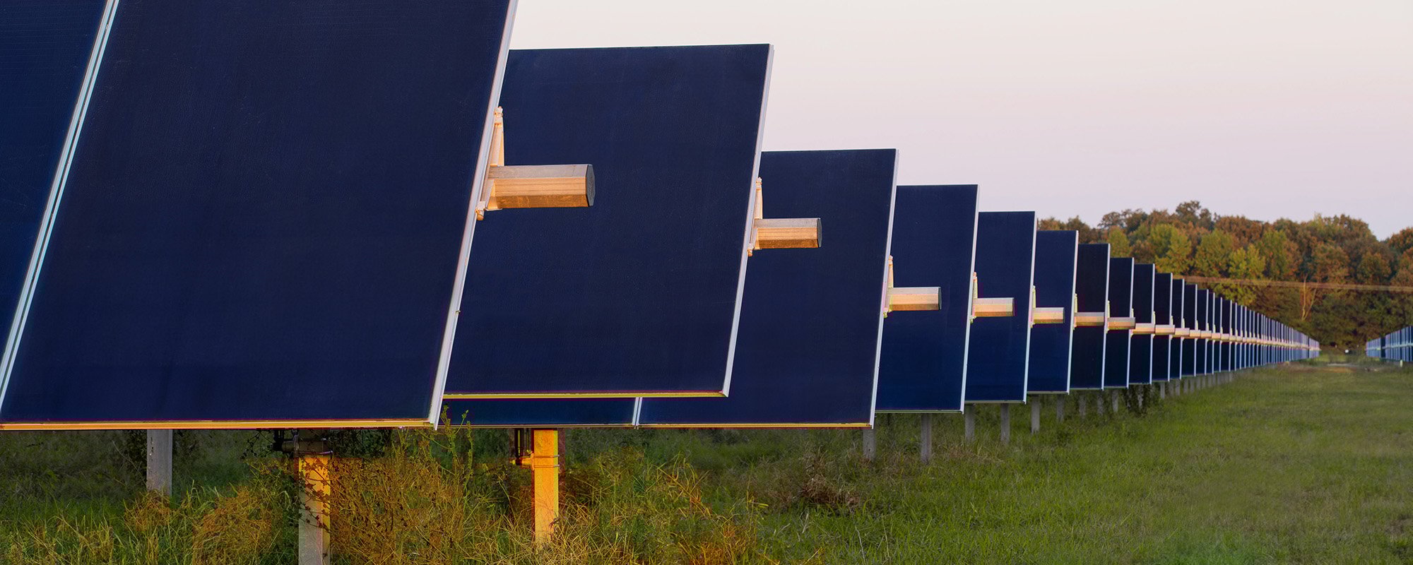 Ground-level view of rows of solar panels at a Lightsource bp solar project, mounted on ground racks above lush green grass. The installation stretches toward a tree line under a warm, pastel sunset sky, symbolizing large-scale renewable energy development integrated with rural landscapes.