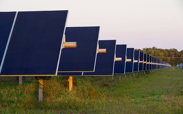 Rows of solar panels at a Lightsource bp solar project, installed across green grass under a soft sunset sky.