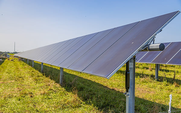 Rows of solar panels at a Lightsource bp solar project, installed across green grass under a clear blue sky.