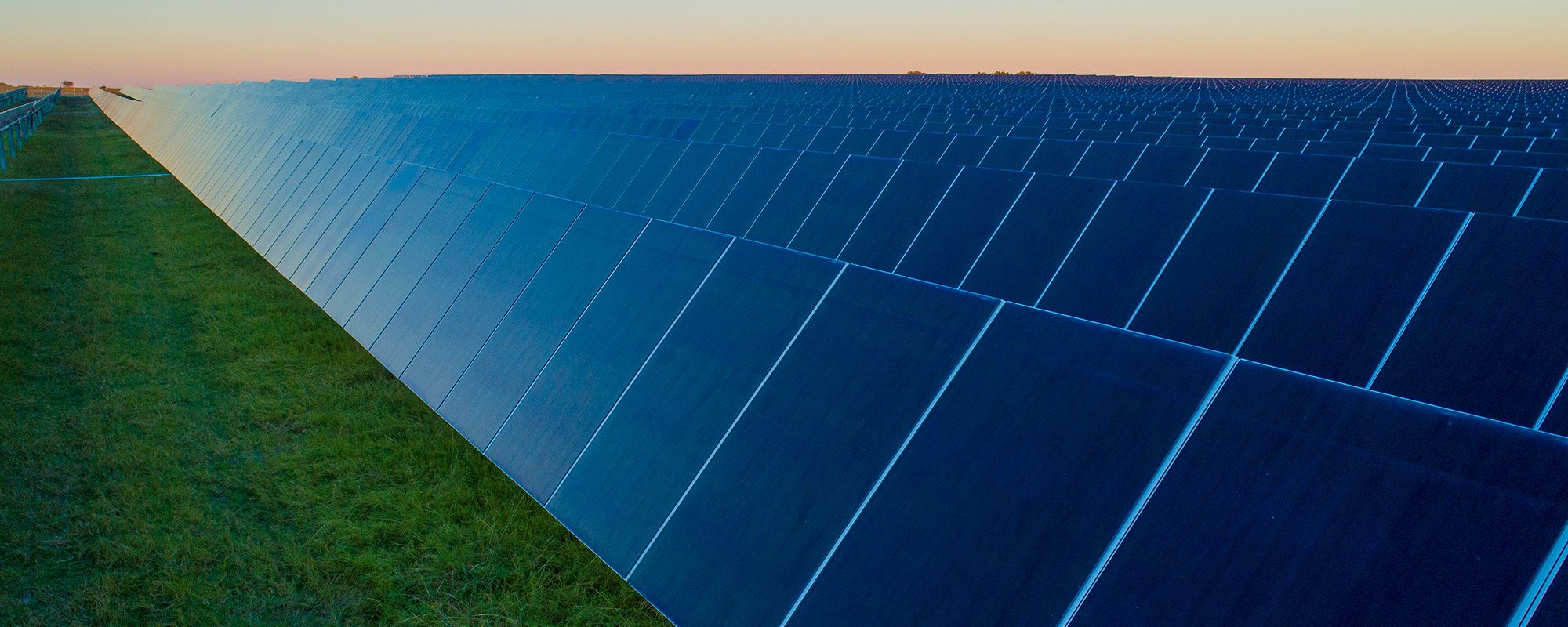 Wide-angle view of rows of solar panels at a Lightsource bp solar project, installed across lush green fields. The installation stretches toward the horizon under a warm, pastel sunset sky, symbolizing large-scale renewable energy development integrated with rural landscapes.