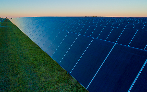 Rows of solar panels at a Lightsource bp solar project, stretching across green grass under a soft sunset sky.