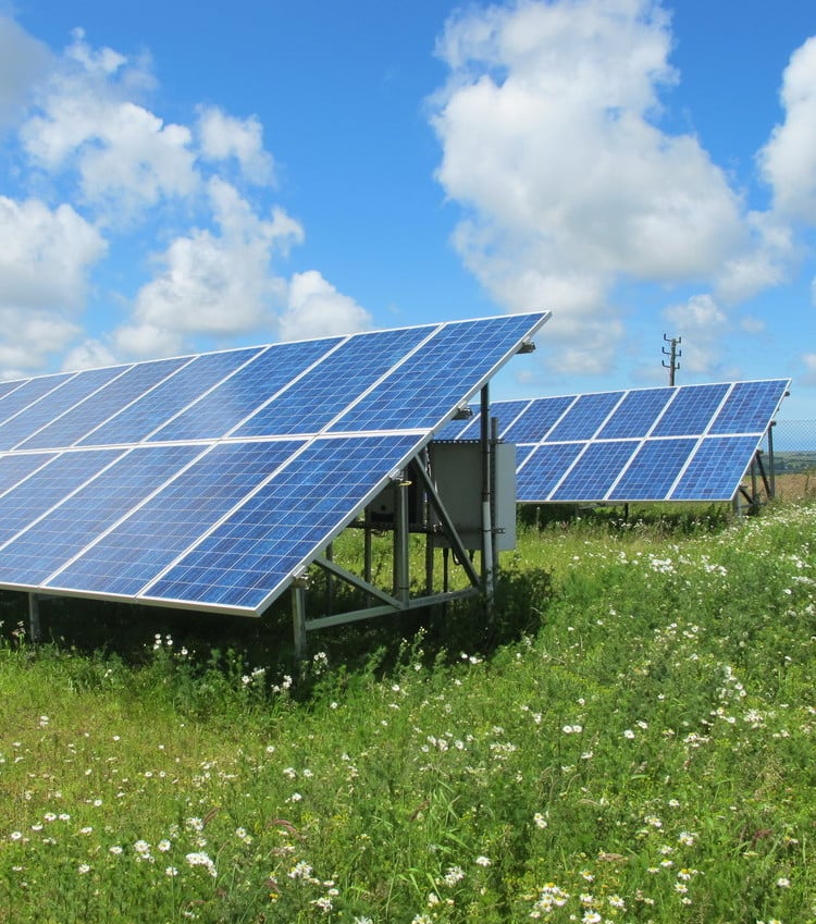 solar panels against a blue sky with white clouds, green grass and white flowers in the foreground