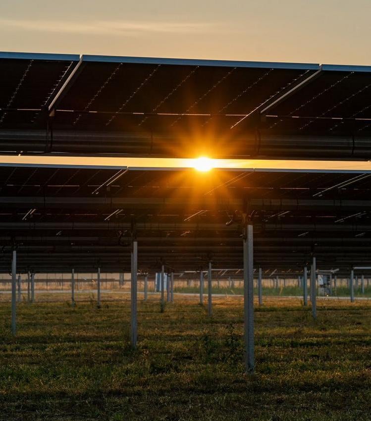 The sun shining brightly through the underside of solar panels mounted above grassy ground during sunset.