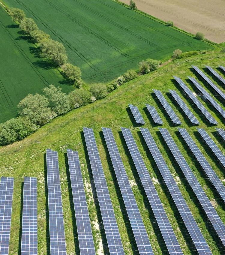 Aerial view of a solar farm with rows of solar panels on green grass next to cultivated fields.
